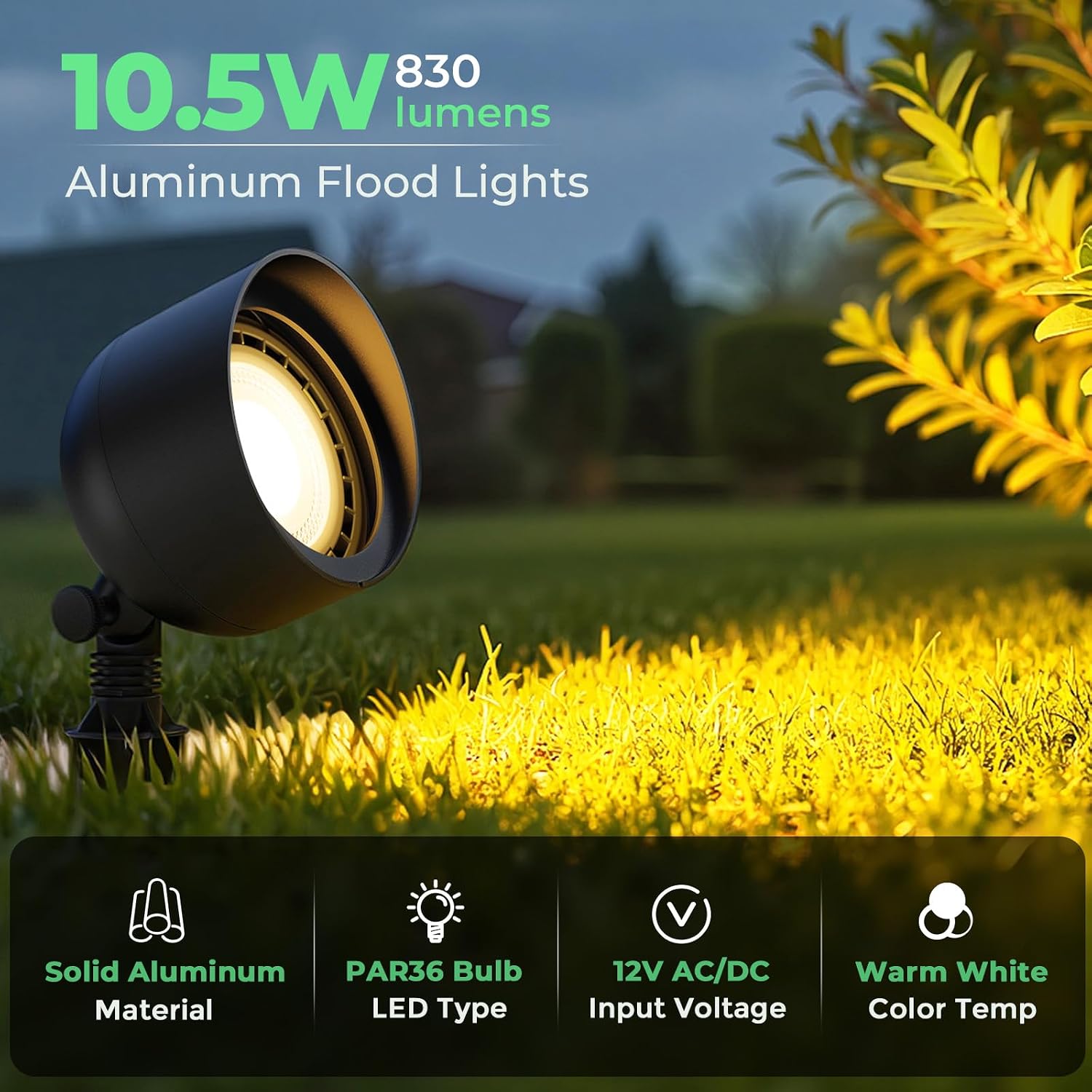 Niskonapięciowa lampa LED do o – Led Flood Light recenzja i cena