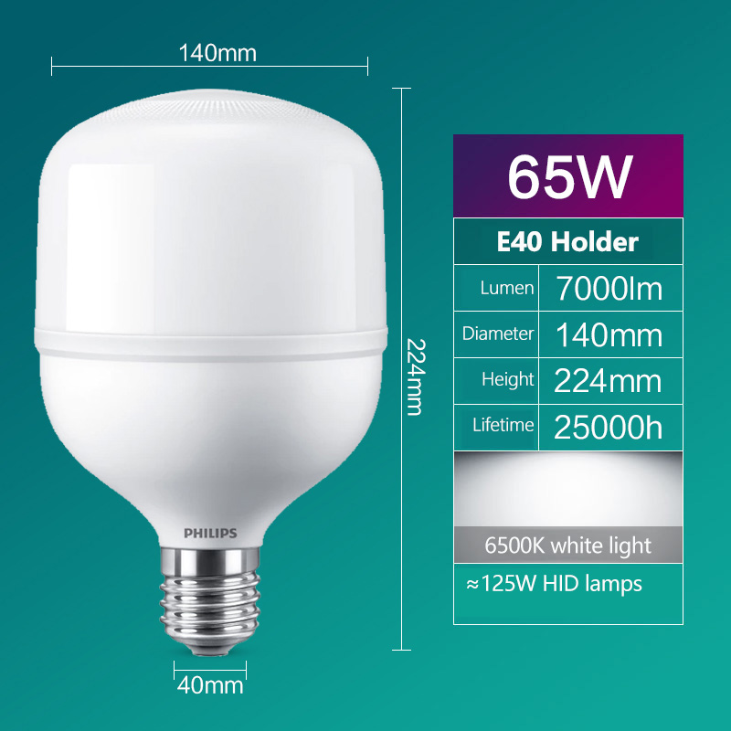 Żarówka LED Philips T160 E40 6 – Outdoor Lighting Warehouse recenzja i cena